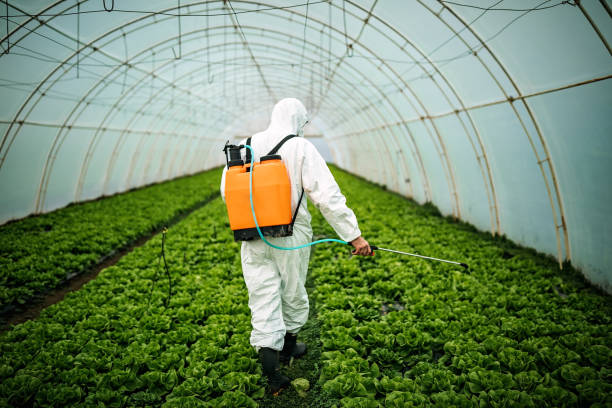 Best Affordable Pest Control Services  in Pelzer, SC