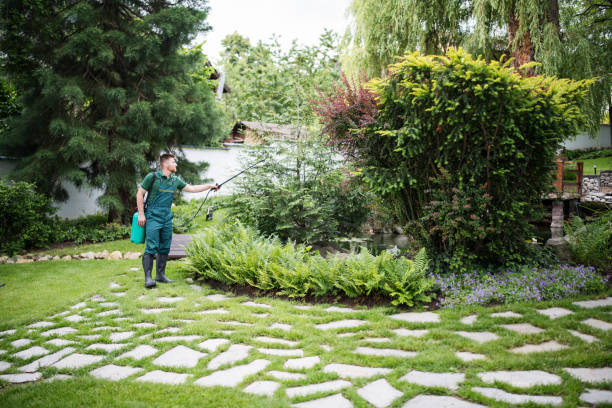 Best Pest Removal Services  in Pelzer, SC