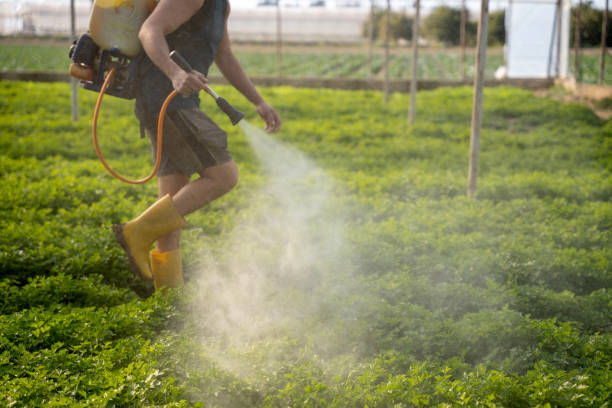 Best Mosquito Control Services  in Pelzer, SC