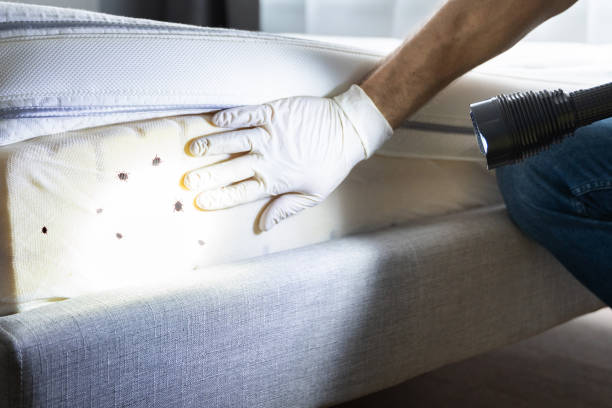 Best Pest Prevention Services  in Pelzer, SC