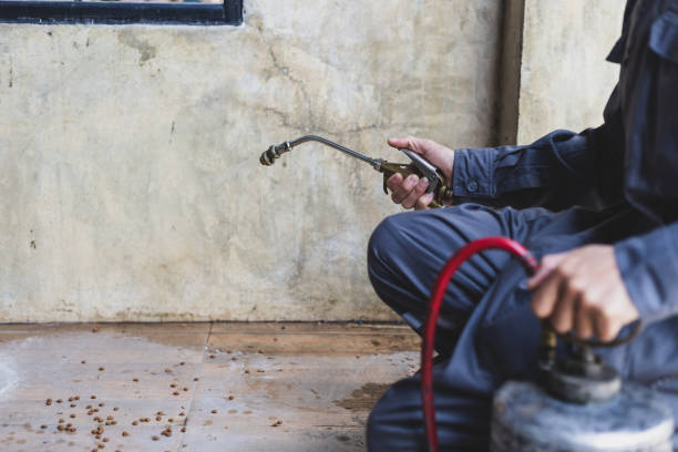 Best Flea Control Services  in Pelzer, SC