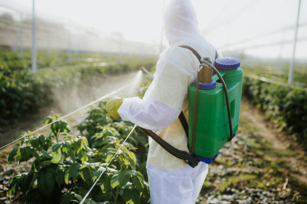 Pest Prevention Services in Pelzer, SC